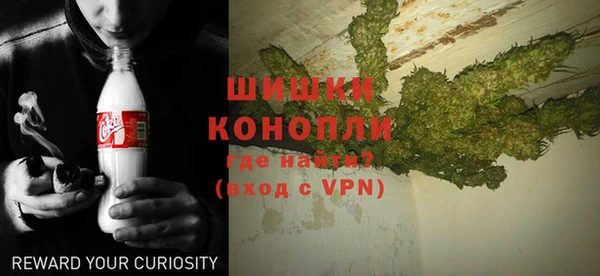 крисы Баксан