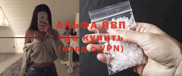 крисы Баксан