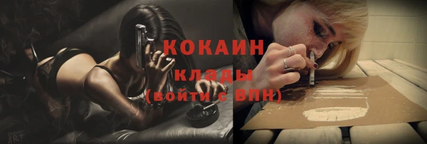 крисы Баксан