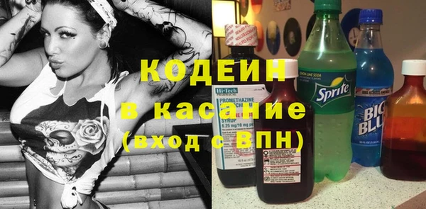 крисы Баксан