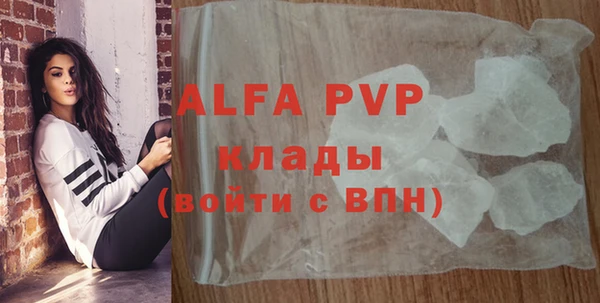 крисы Баксан